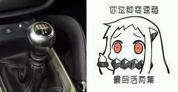 1517886991328590.jpg 6.jpg